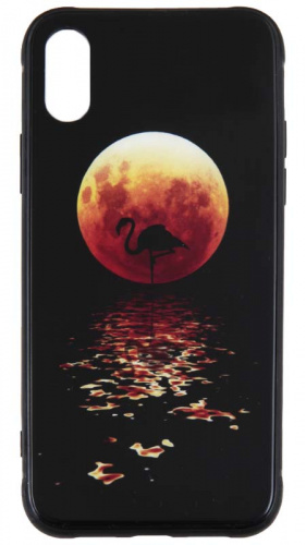 Силиконовый чехол для Apple iPhone X/XS стеклянный фламинго чёрный