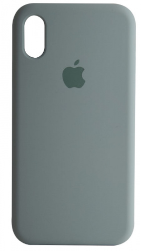 Задняя накладка Soft Touch для Apple iPhone X/XS мятный