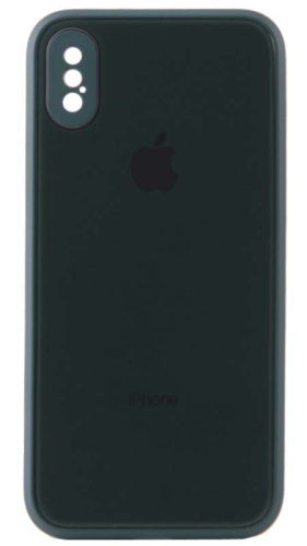 Силиконовый чехол для Apple iPhone X/XS стеклянный с защитой камеры хвойный
